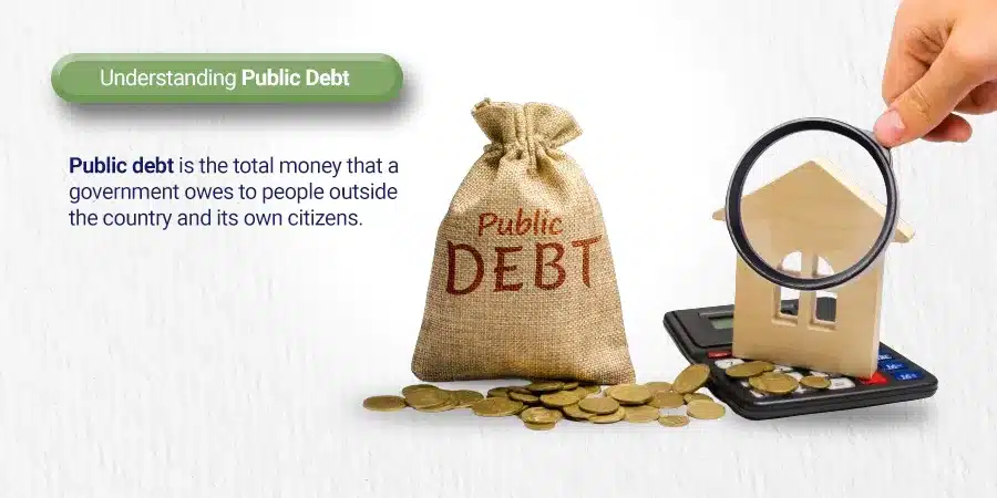 Understanding the effects of public debt on the economy