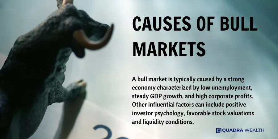 Causes of Bull Markets