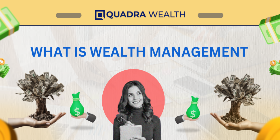 difference between investment management and wealth
 management

